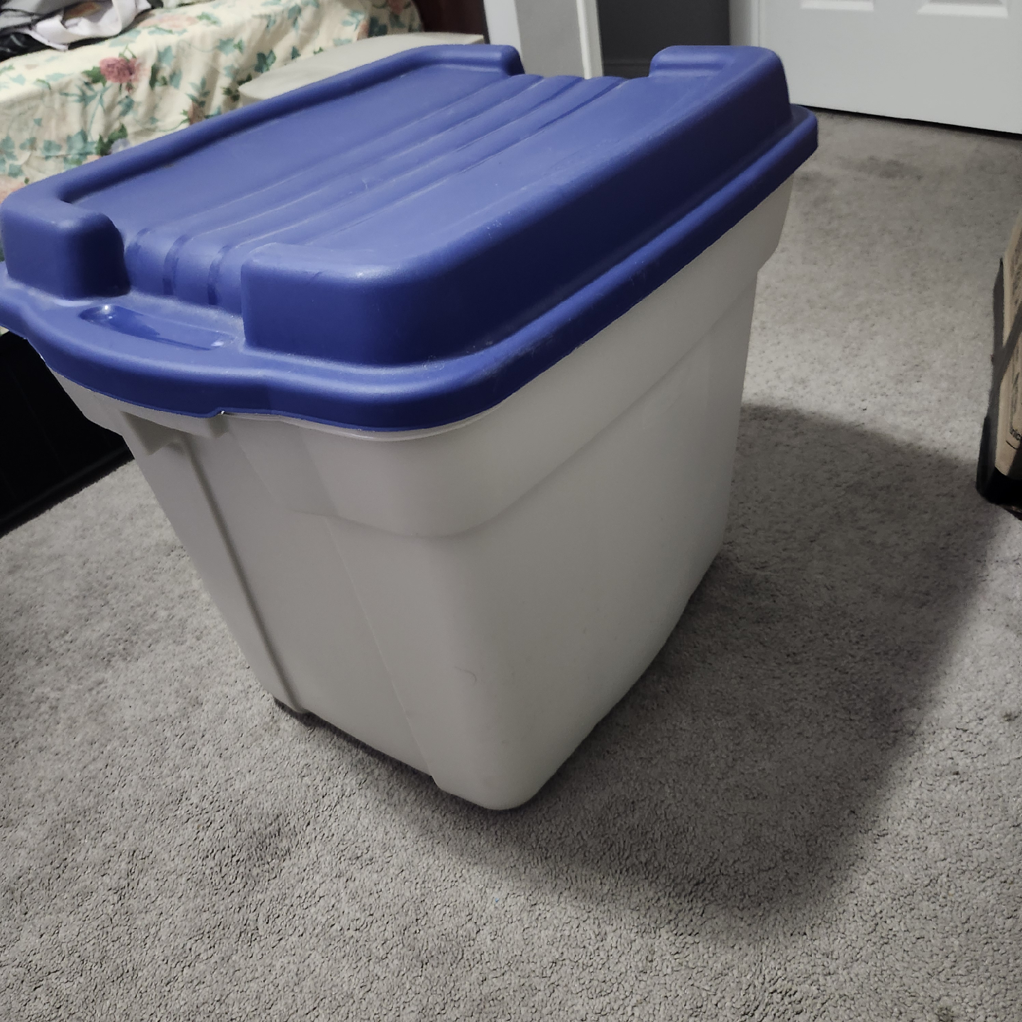 Storage Bin with Blue Lid