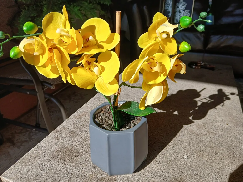Yellow Artificial Orchid in Grey Pot (Set of 2) thumbnail