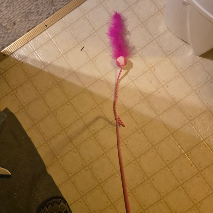 Cat Wand Toy with Feather 🤎 image indicator(2)
