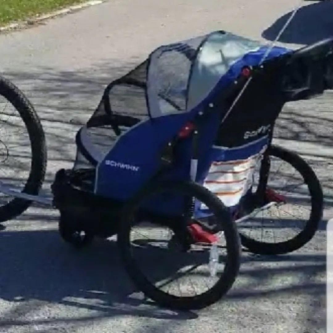 Schwinn Joyrider Double Bike Trailer/Stroller image indicator(8)