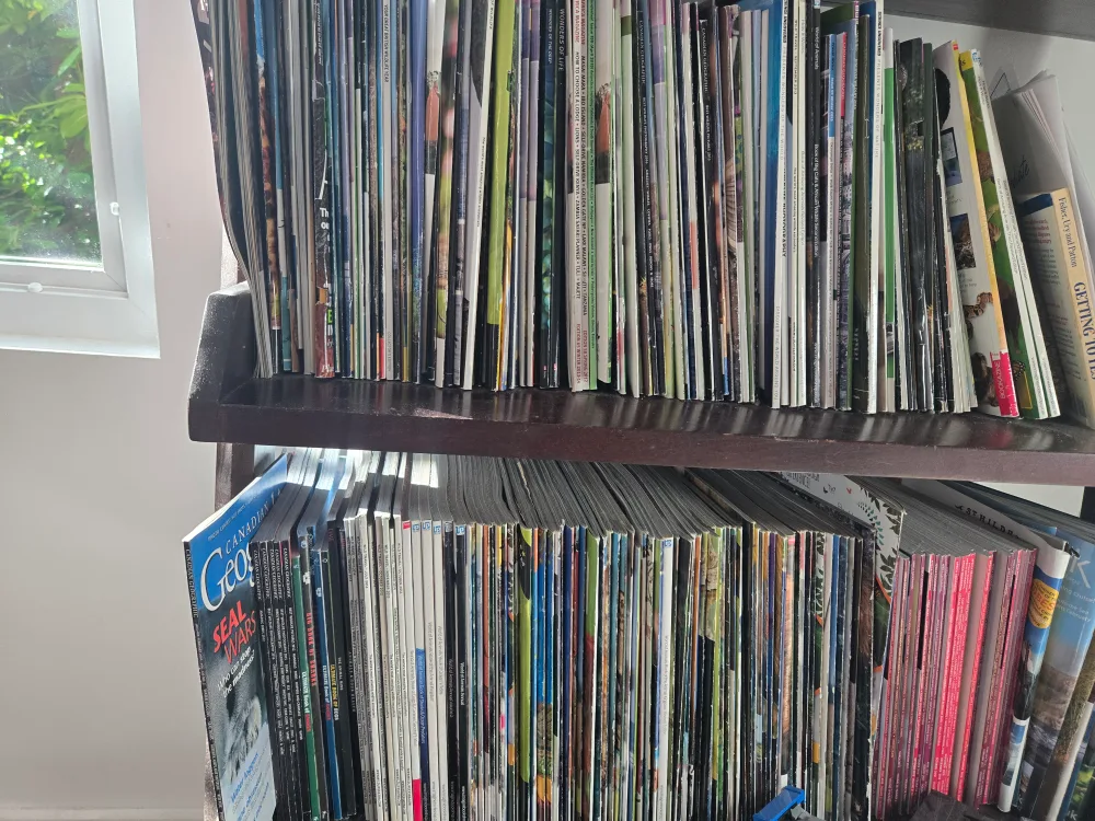 Wild Life and Amazing Animal magazine/books image indicator(3)