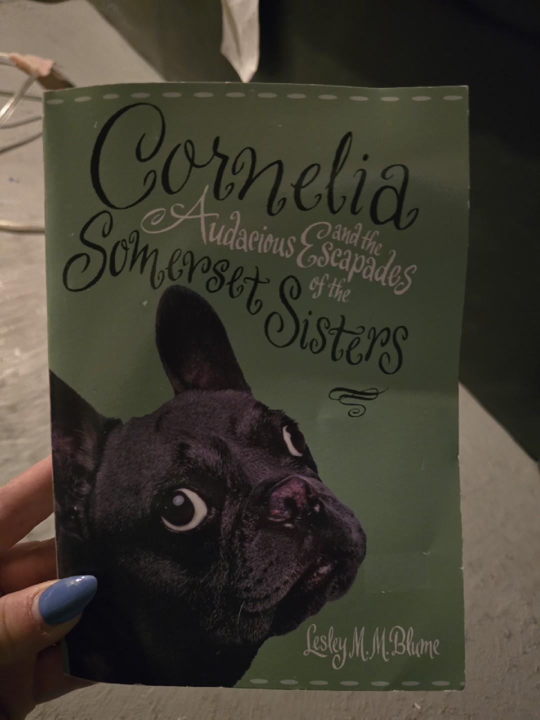 Cornelia Somerset Book by Lesley M.M. Blume