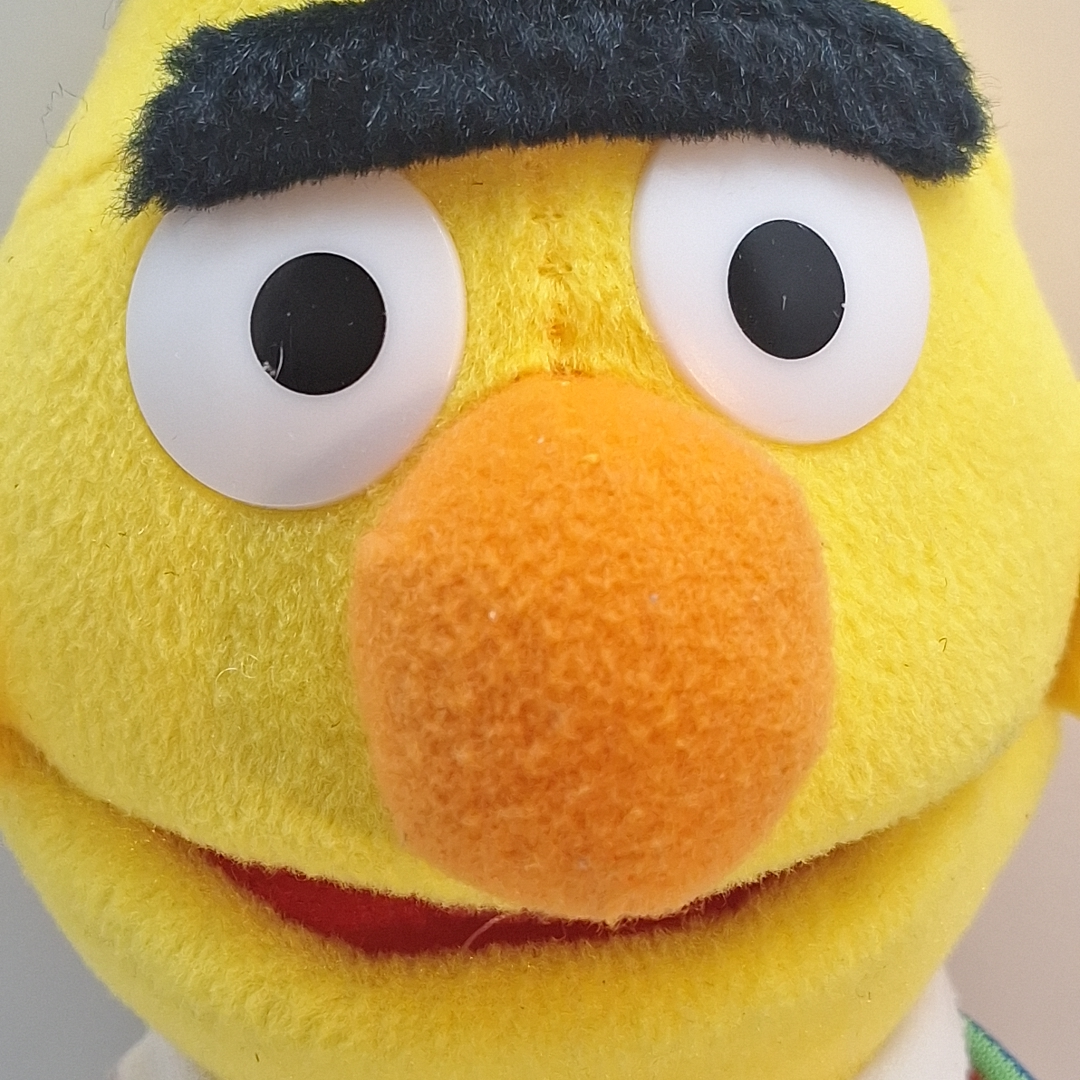2015 Bert Sesame Street Plush - photo 2