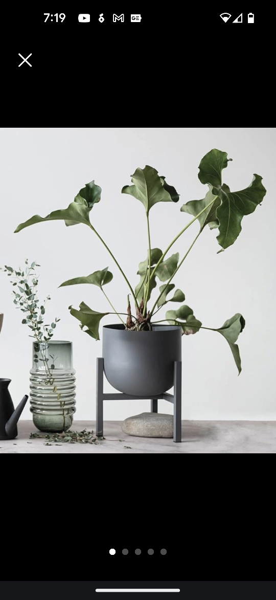 Gray Metal Planter with Stand 💚