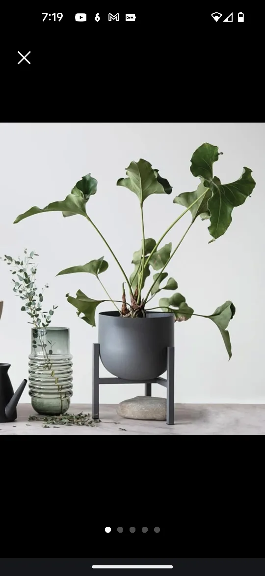 Gray Metal Planter with Stand 💚 thumbnail