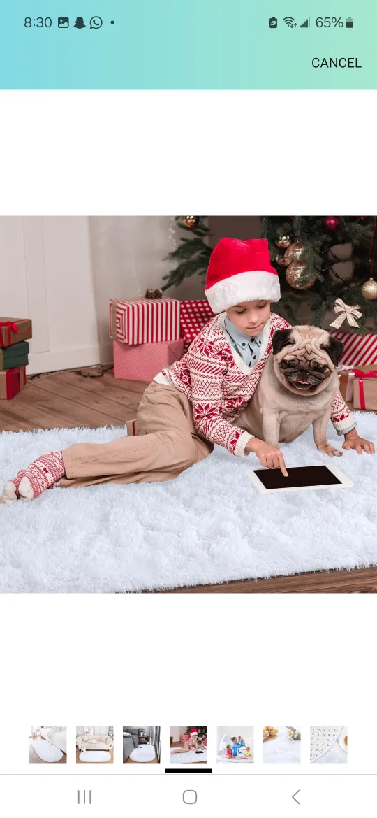 White Fluffy Area Rug image indicator(4)