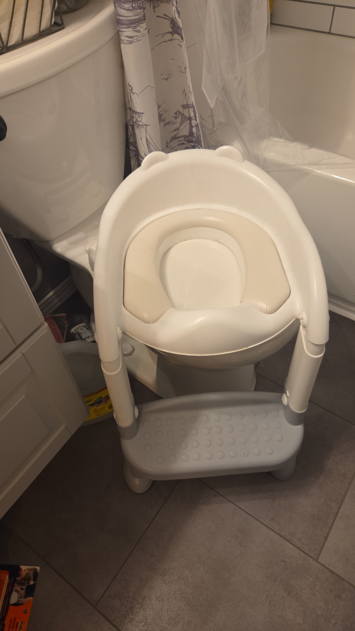 Potty Training Seat with Step Stool