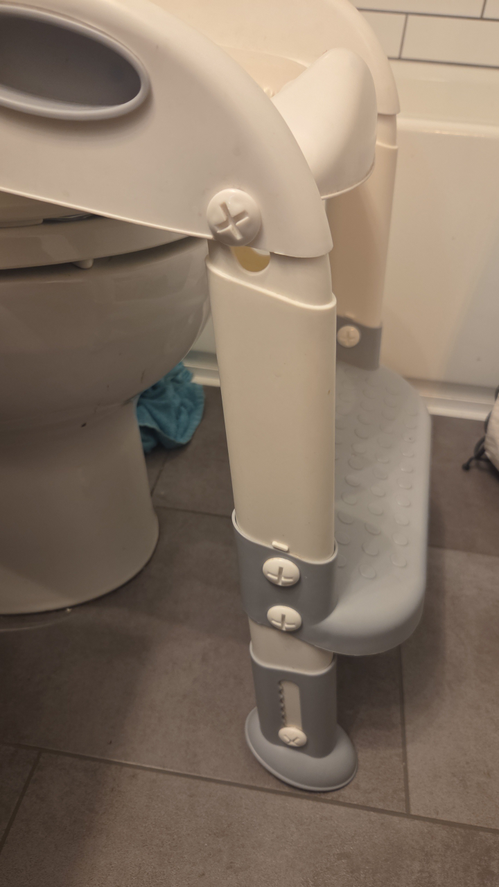Potty Training Seat with Step Stool - photo 2