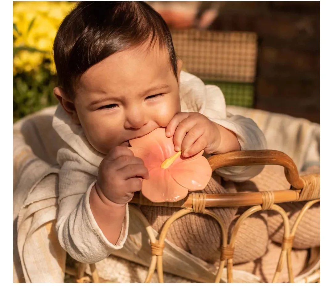 Oli & Carol Iris the Hibiscus Baby Teether image indicator(3)
