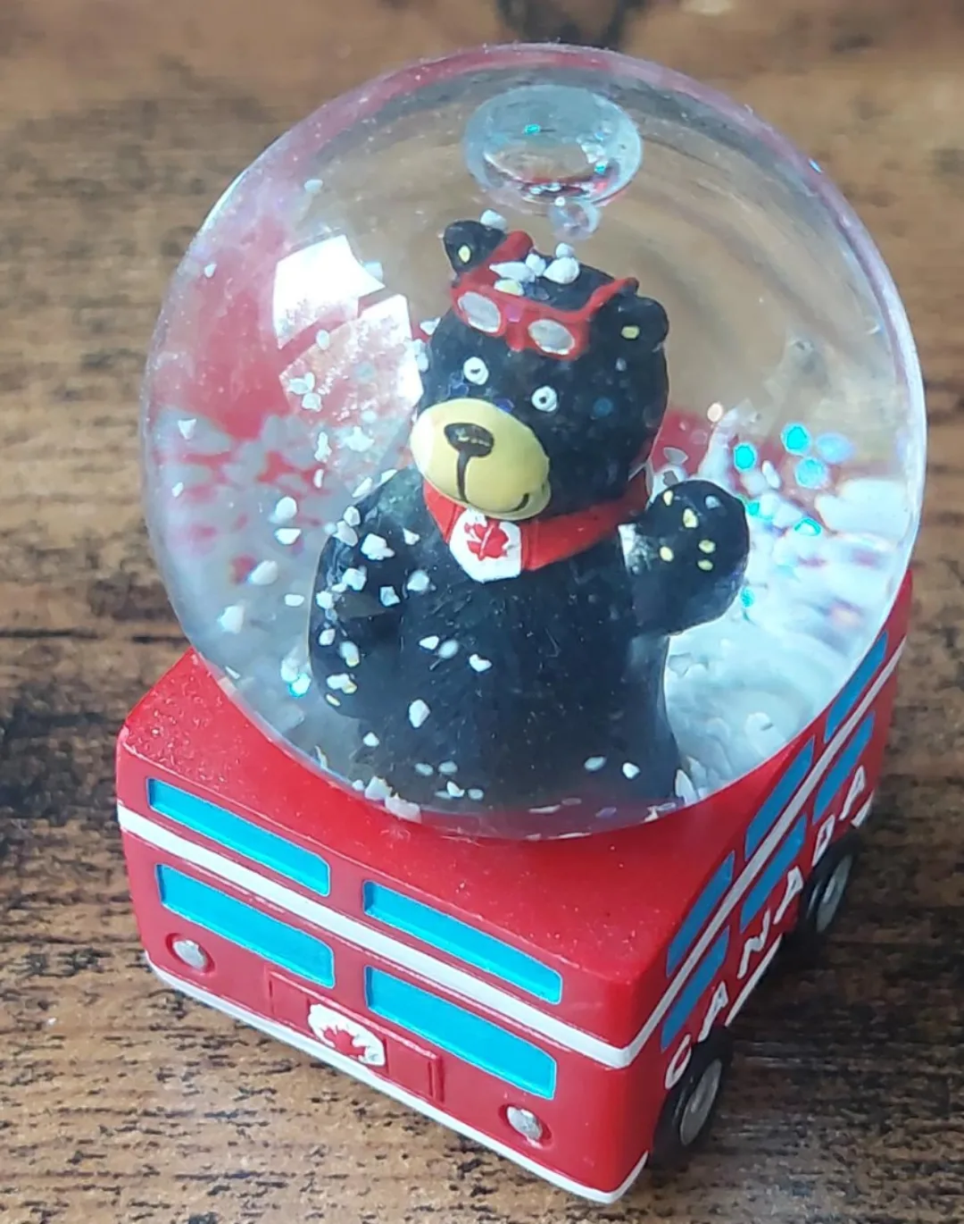 Canadian Bear Snow Globe 🧡 thumbnail