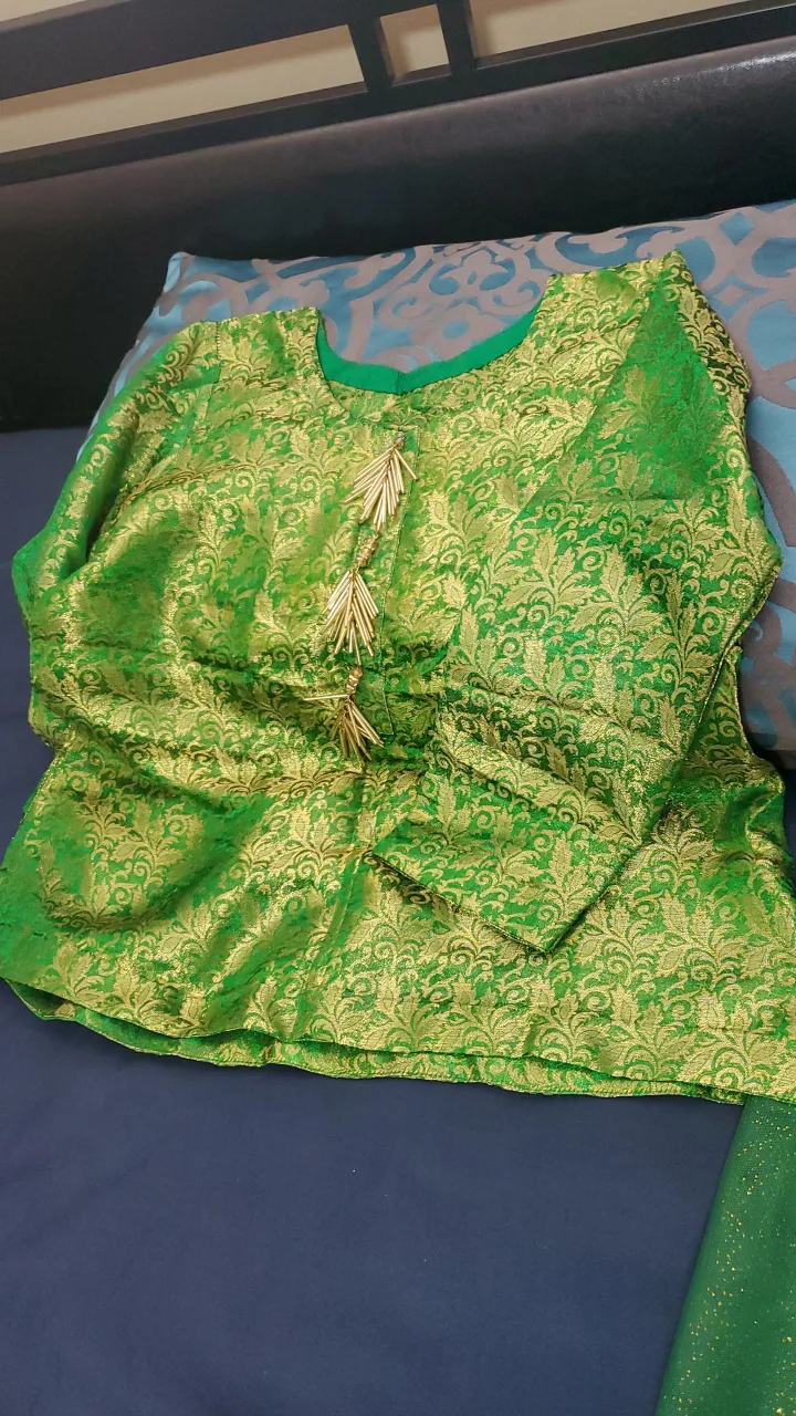 Indian/Pakistani Lengha Dress image indicator(4)