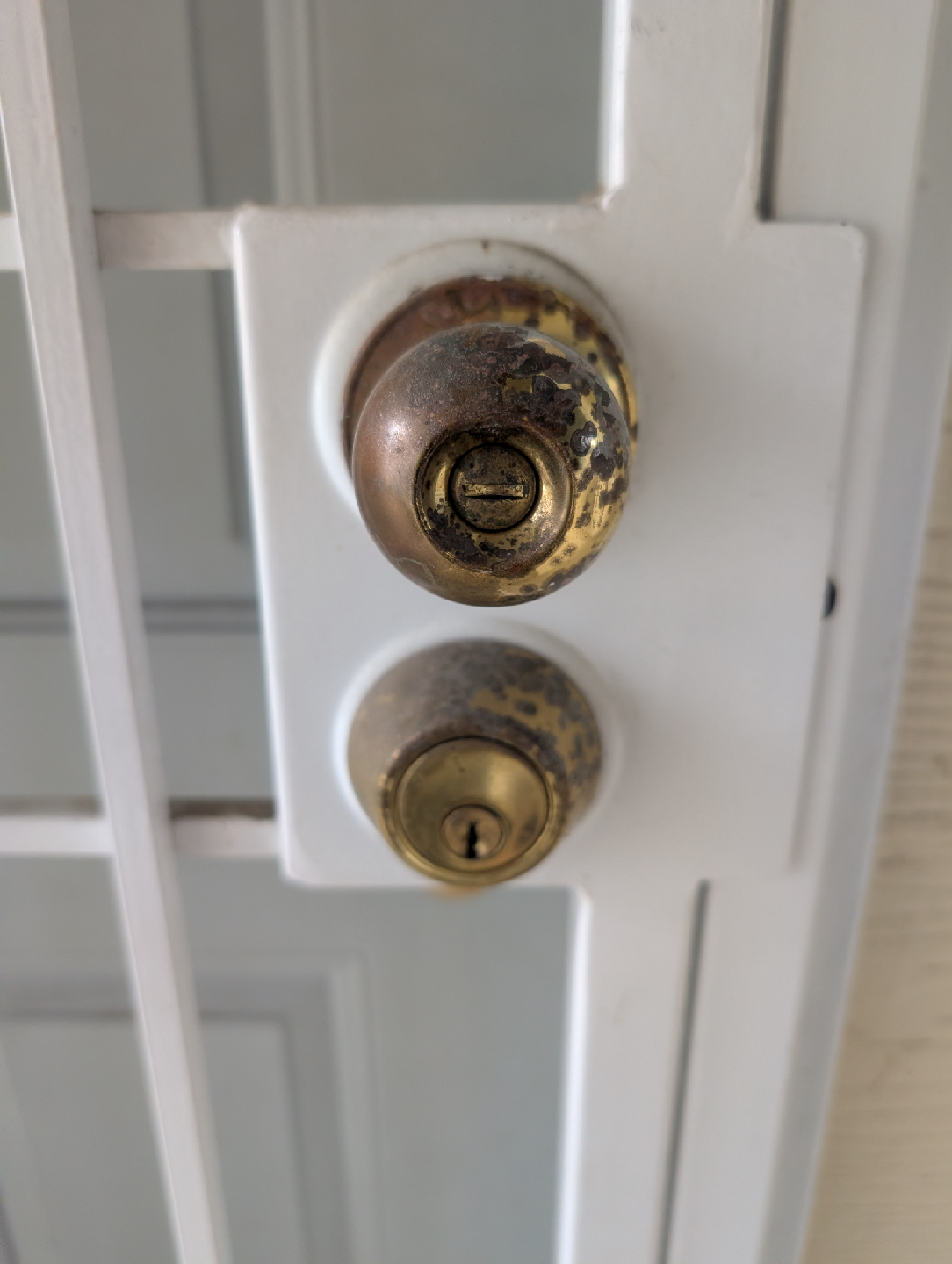 White Security Doors - photo 5