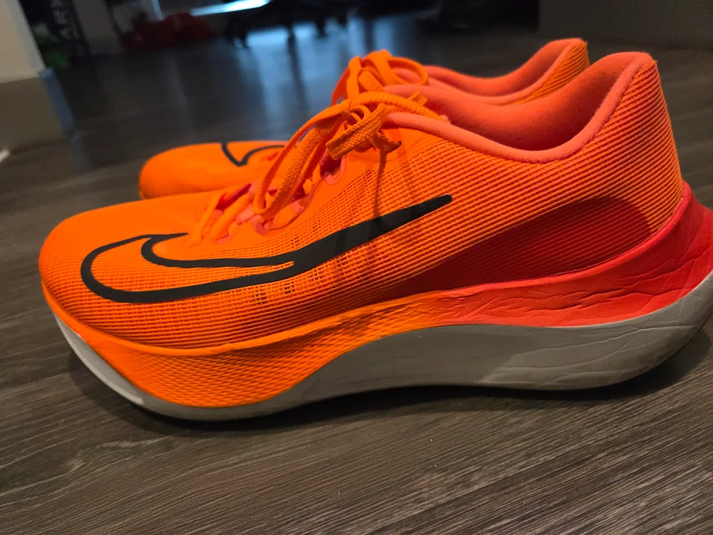 Nike Zoom Fly 5 - US 12 image indicator(2)