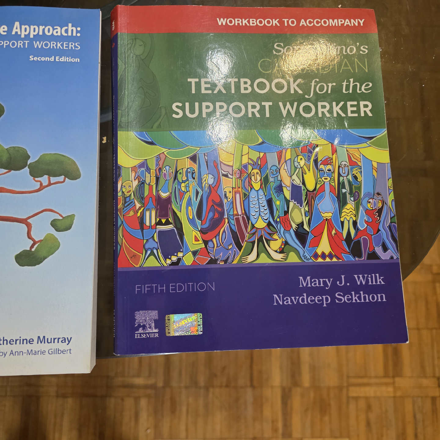 Sorrentino's Canadian Textbook & Workbook for Support Worker