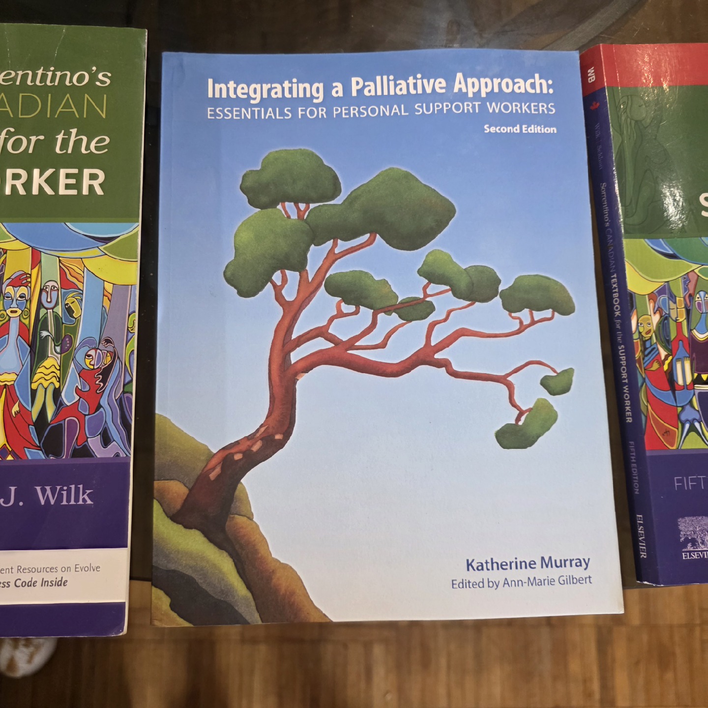 Sorrentino's Canadian Textbook & Workbook for Support Worker - photo 2