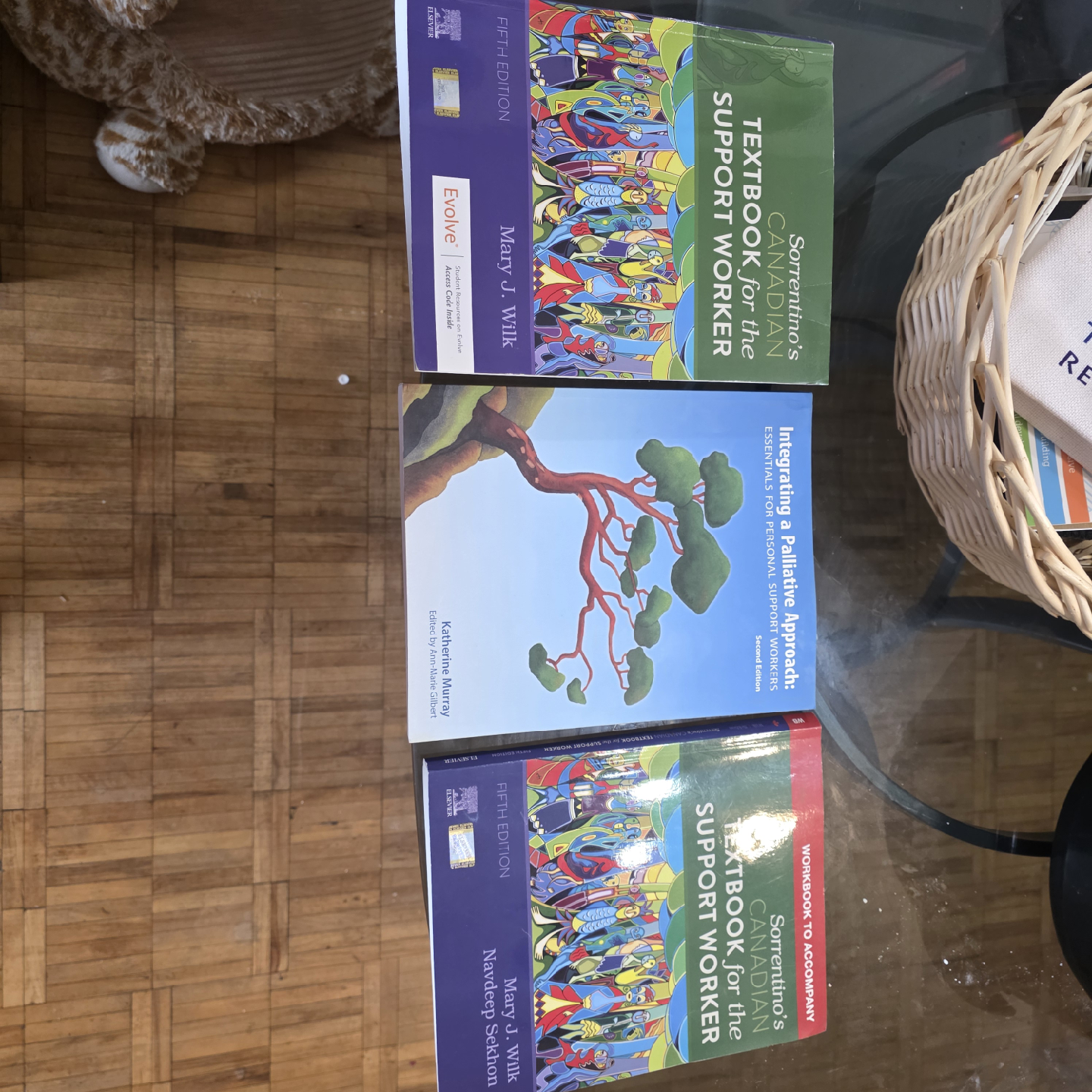 Sorrentino's Canadian Textbook & Workbook for Support Worker - photo 3