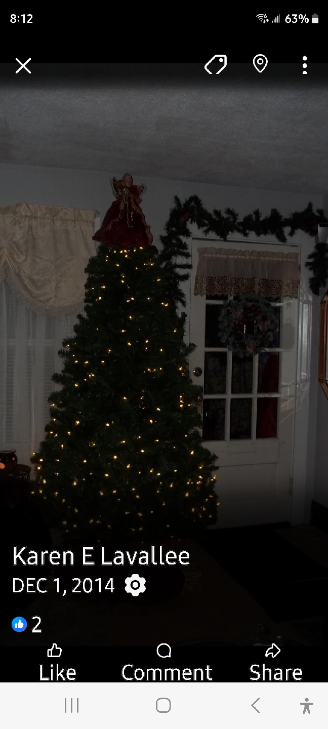 LED  PRE LIT 6 1/2 FT TREE WITH MULTI LIGHT FUNCTIONS