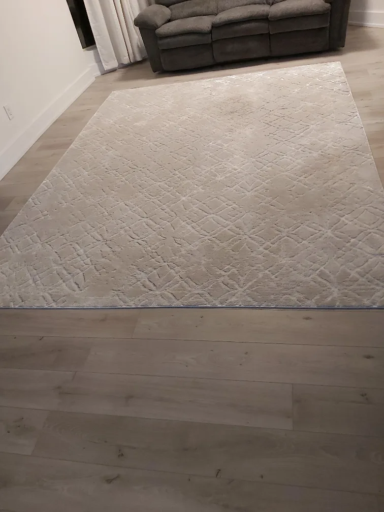 Area rug image indicator(10)