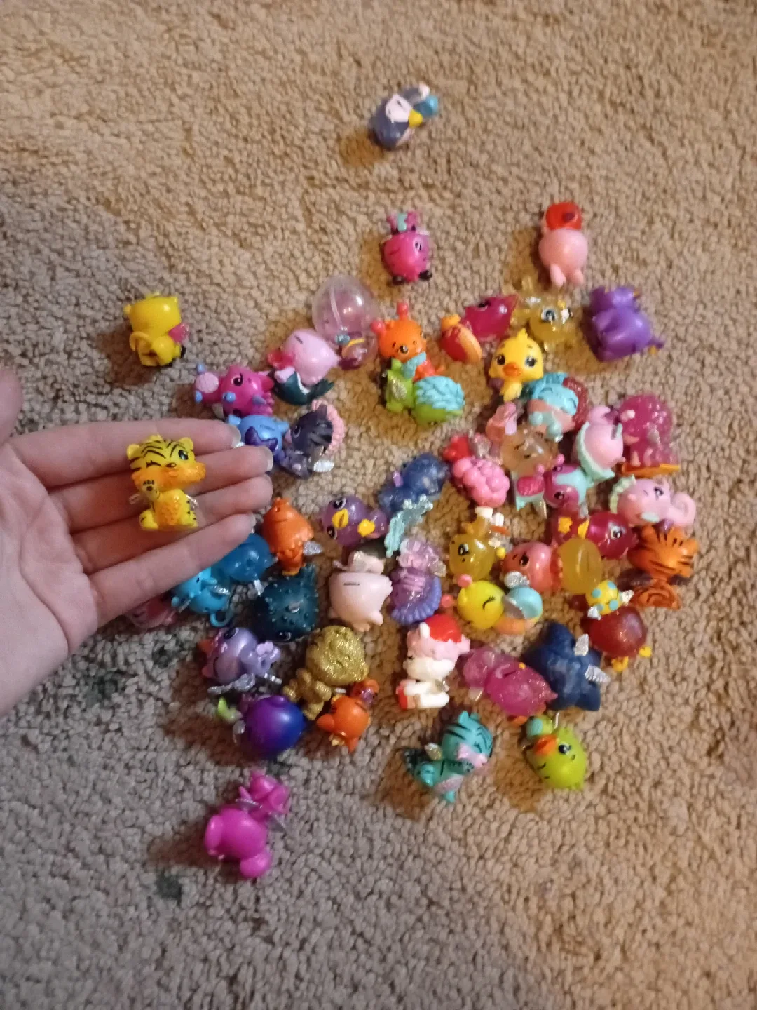 Hatchimal set image indicator(6)