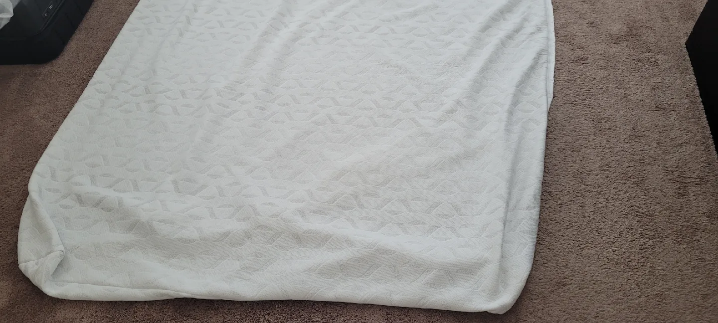 Brand new queen-size mattress protector image indicator(3)