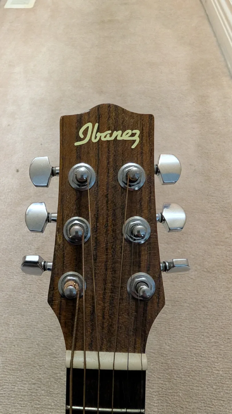 Ibanez EWP14WB-OPN Acoustic Guitar image indicator(2)