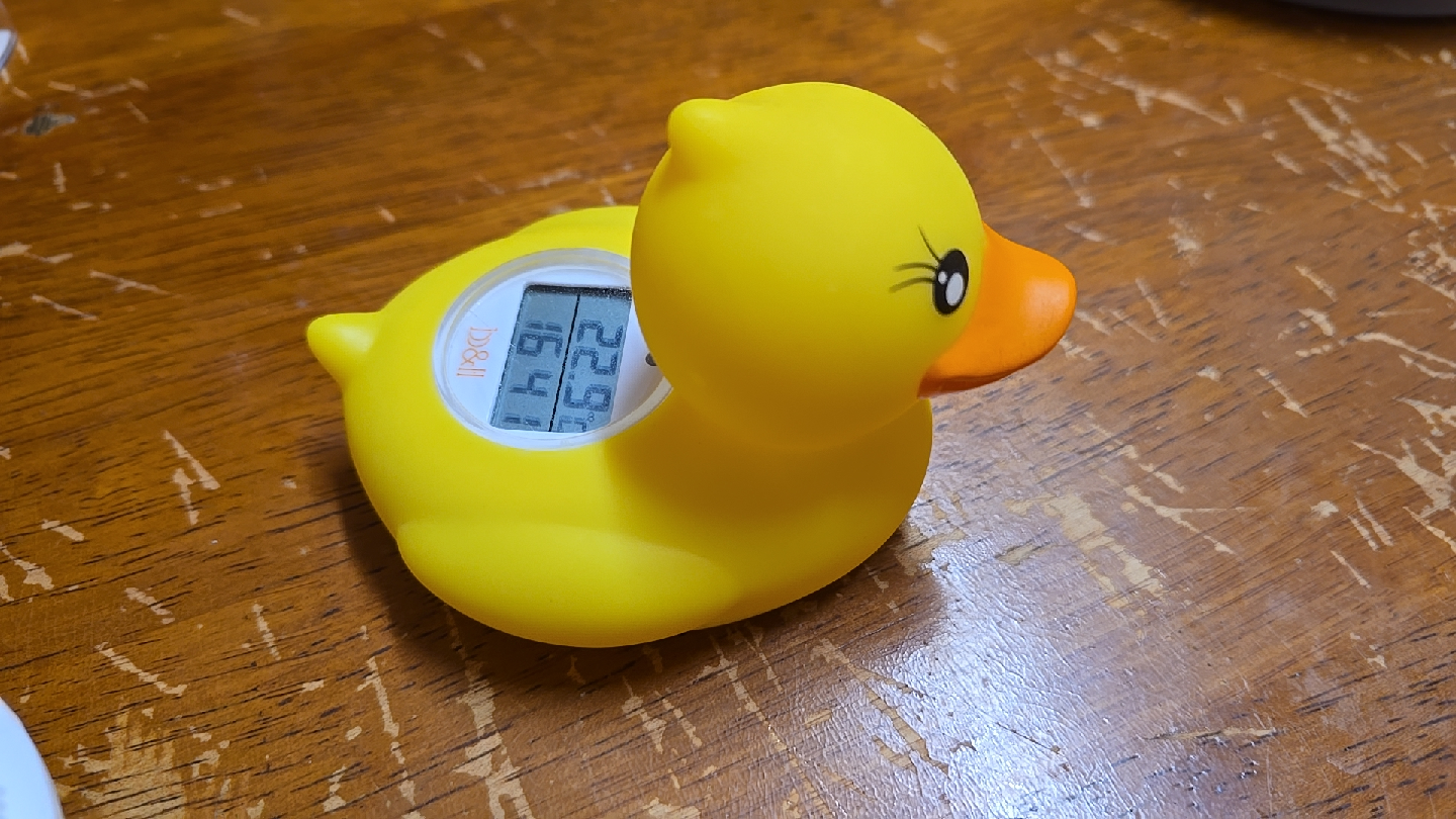 Yellow Duck Thermometer