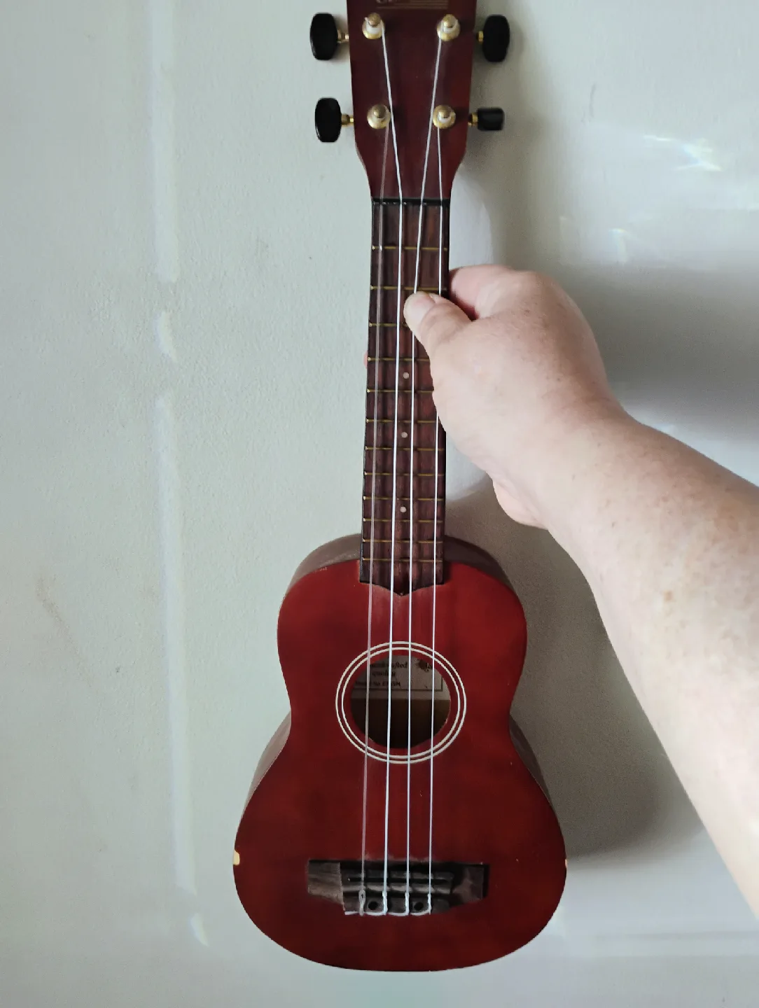 Clothing, Shoes, Ukulele and Shoe Organizer image indicator(3)