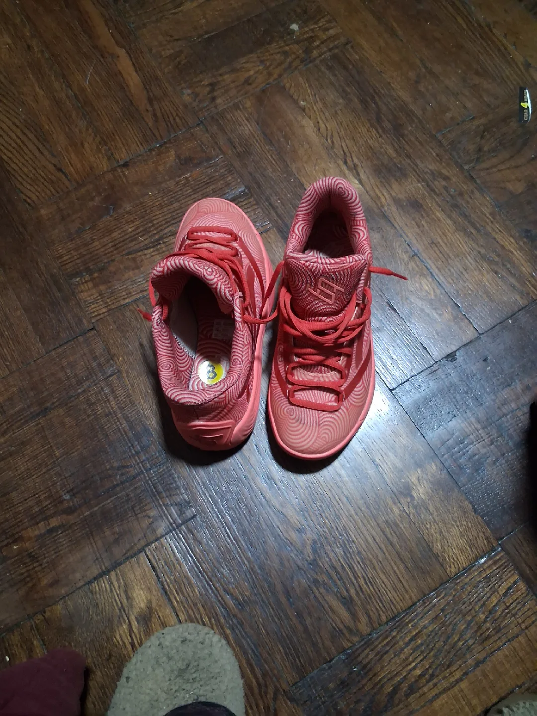 Pumas size 8 image indicator(2)