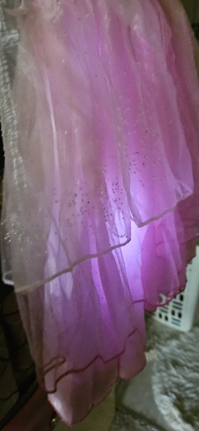 Barbie Ballerina Costume - Size Medium image indicator(8)