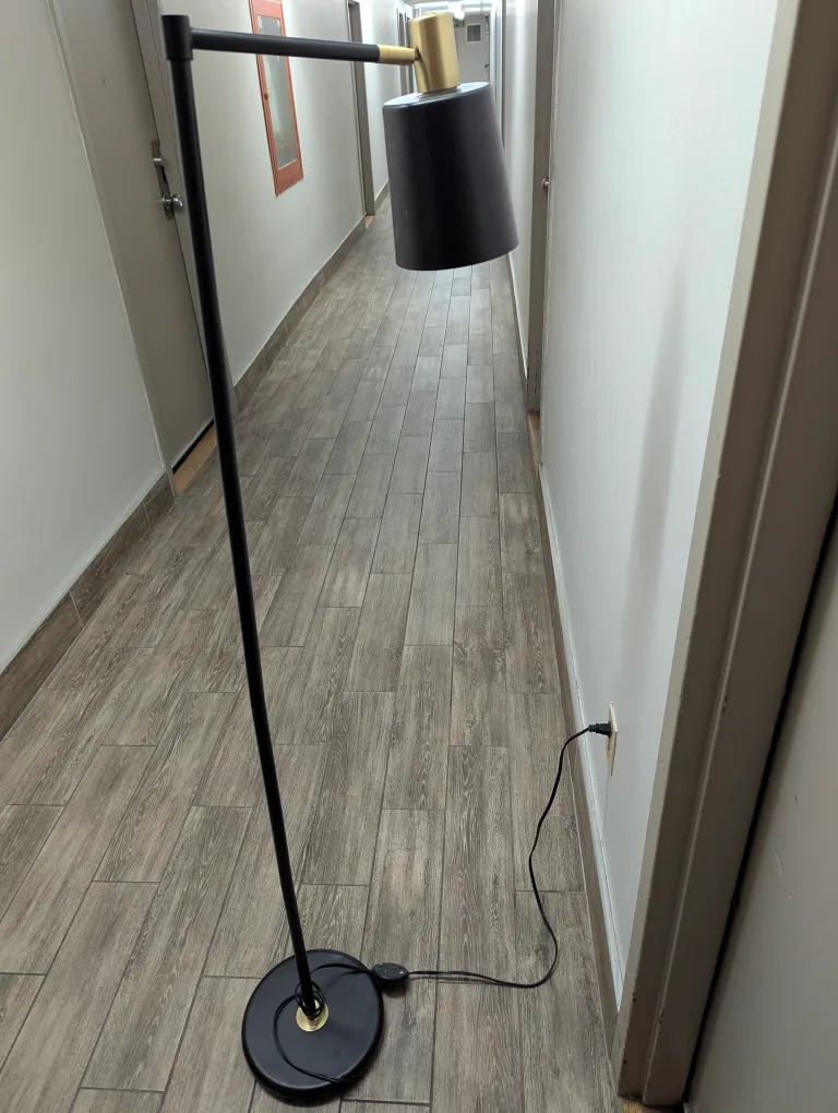 Globe Electric Lex 60 inch Floor Lamp, image indicator(2)