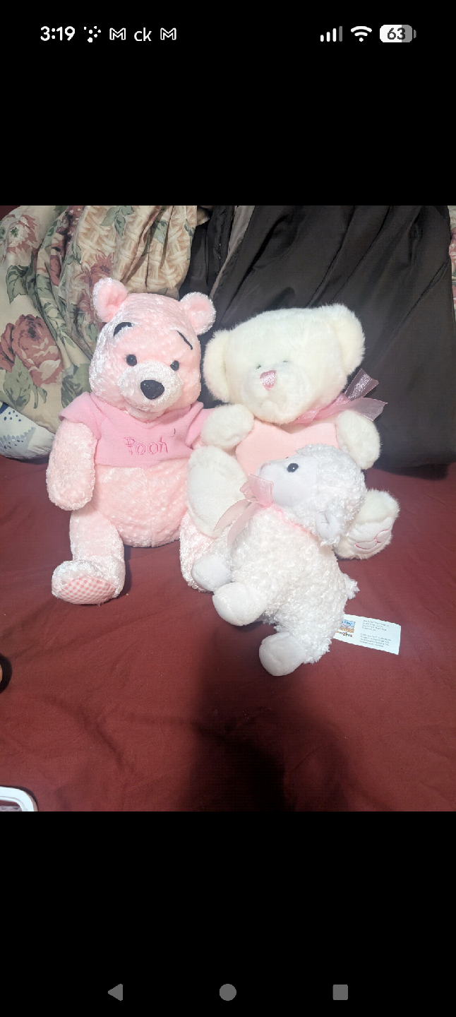 Plush Winnie the Pooh & Friends