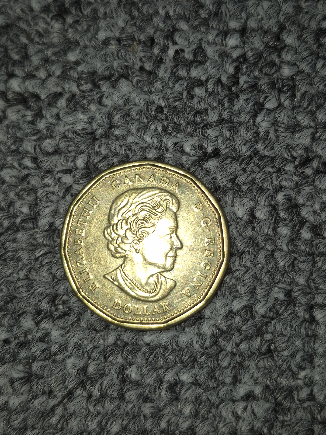 Canada one dollar coin 1916-2016 - photo 2