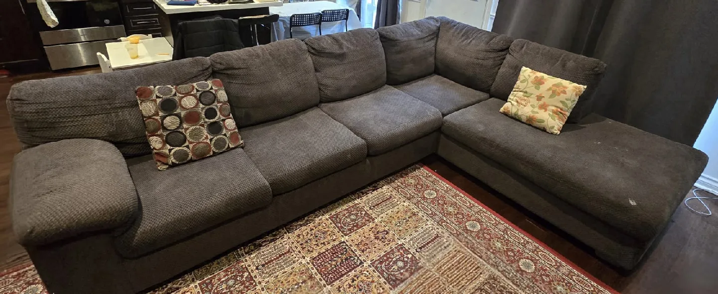 Grey Sectional Sofa - Some Wear (W/Queen size pullout) image indicator(4)