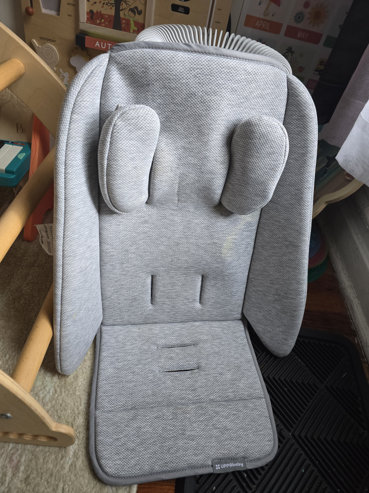 UPPAbaby Infant SnugSeat