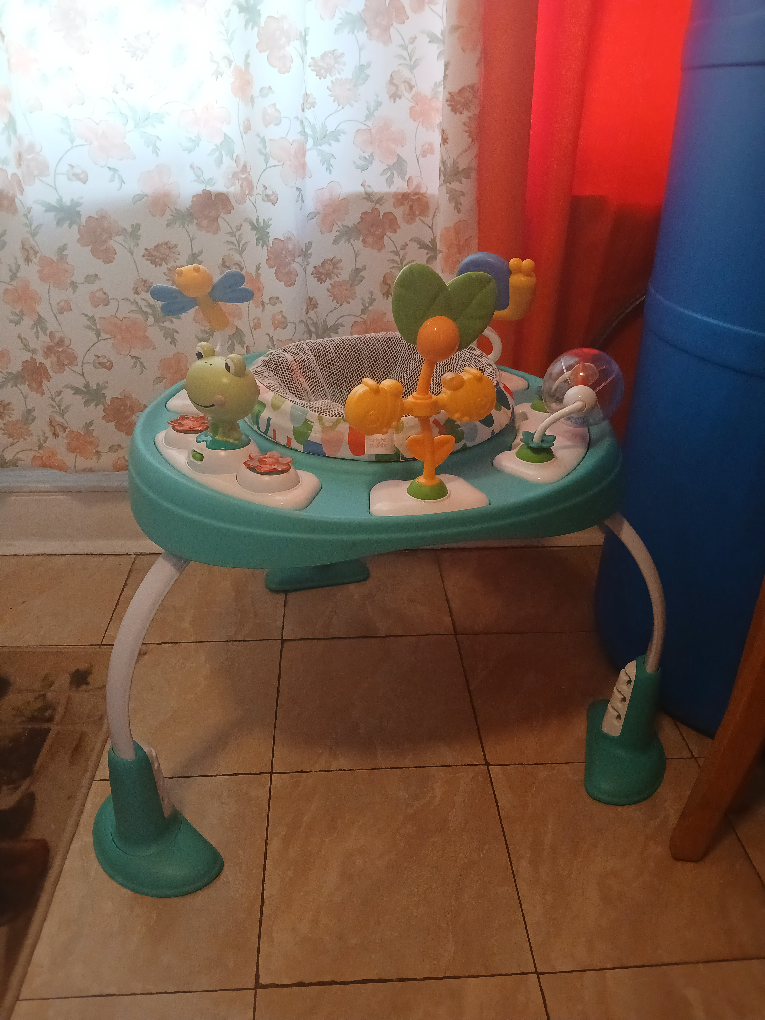 Baby Activity Center