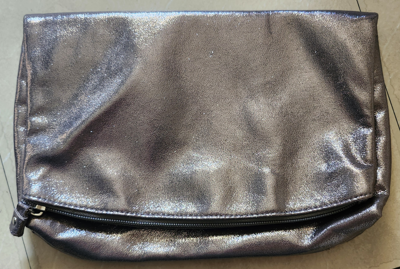Silver Clutch Purse