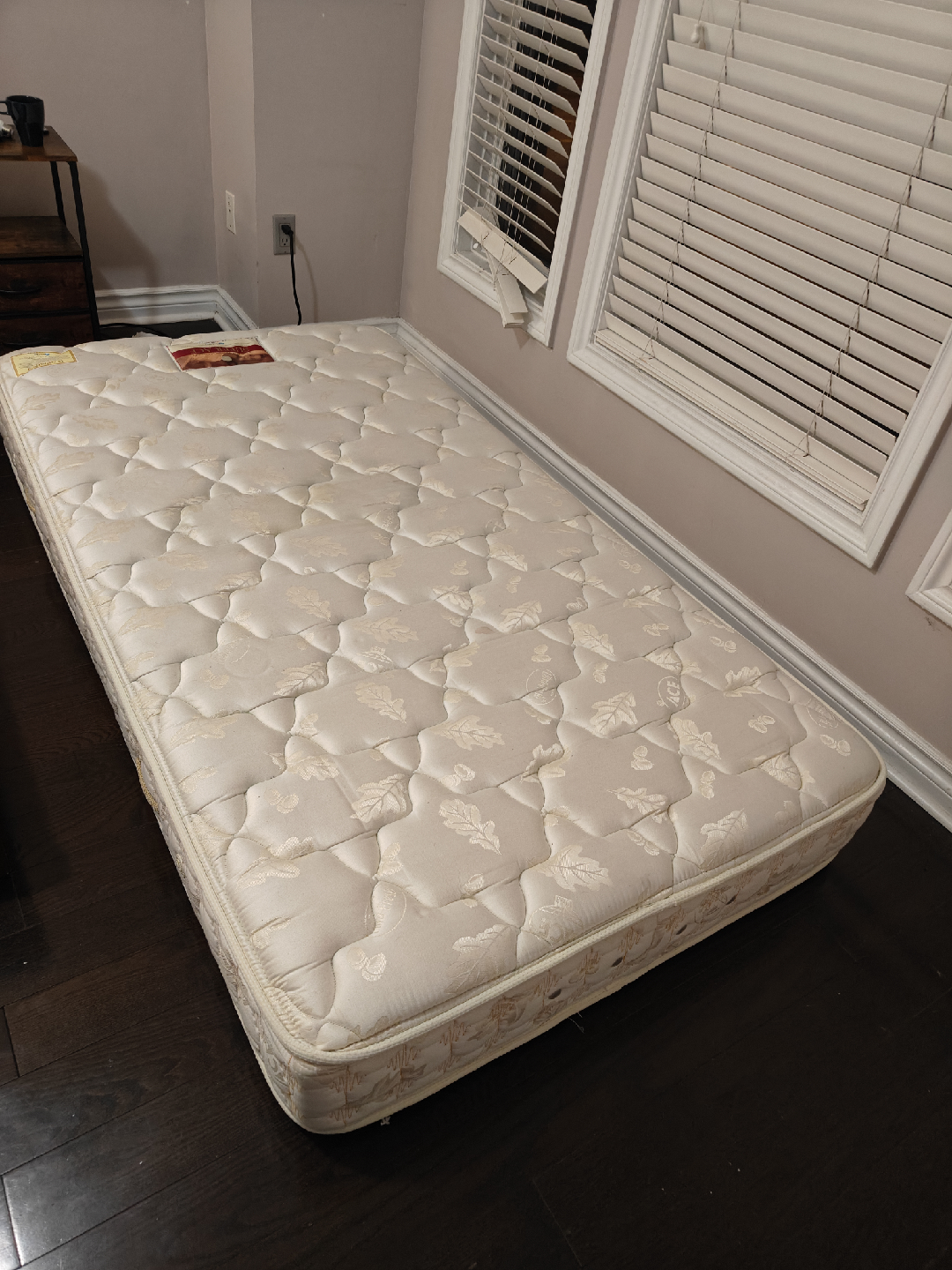 Premium Ace Bed Twin Mattress for Sale - Quick Move!
