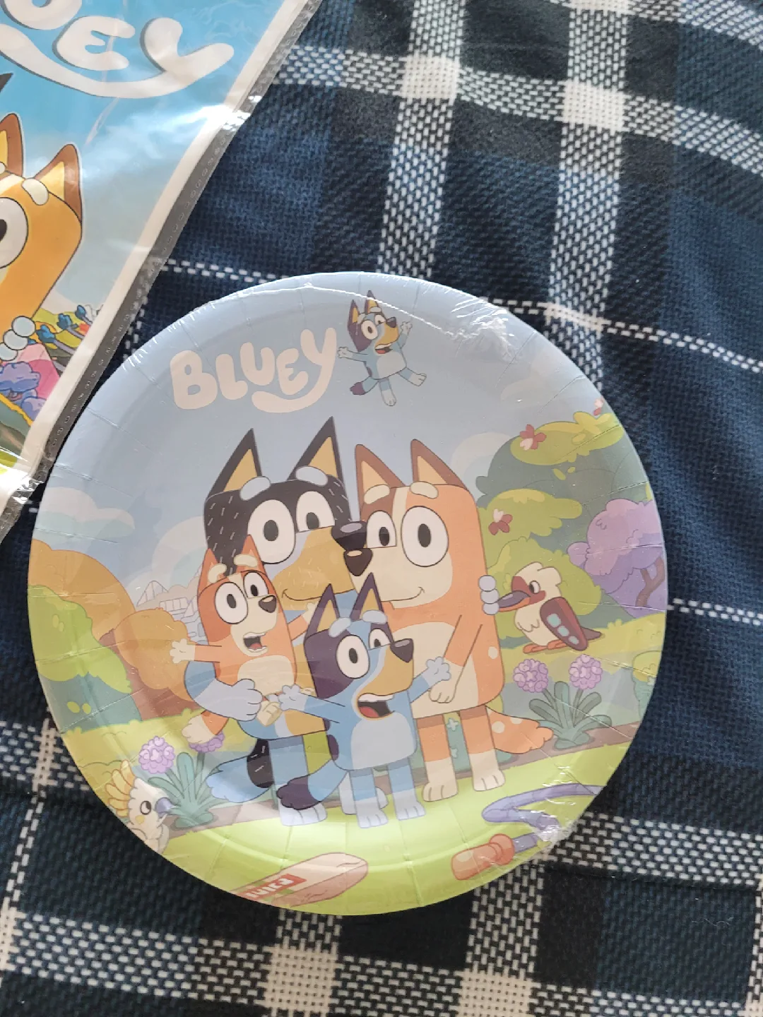 Brand NEW Bluey Birthday Party Set image indicator(3)
