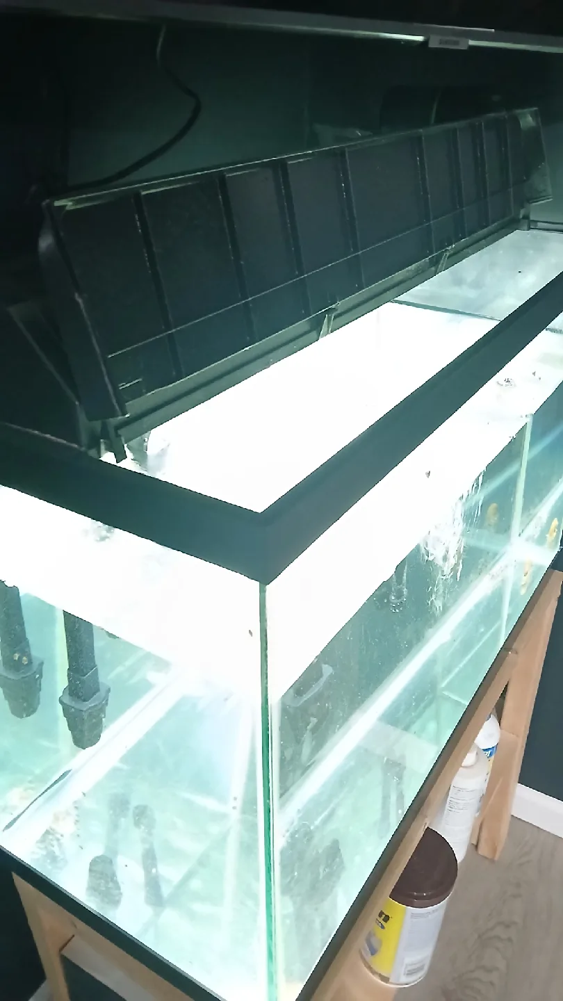 Used Fish Tank image indicator(4)