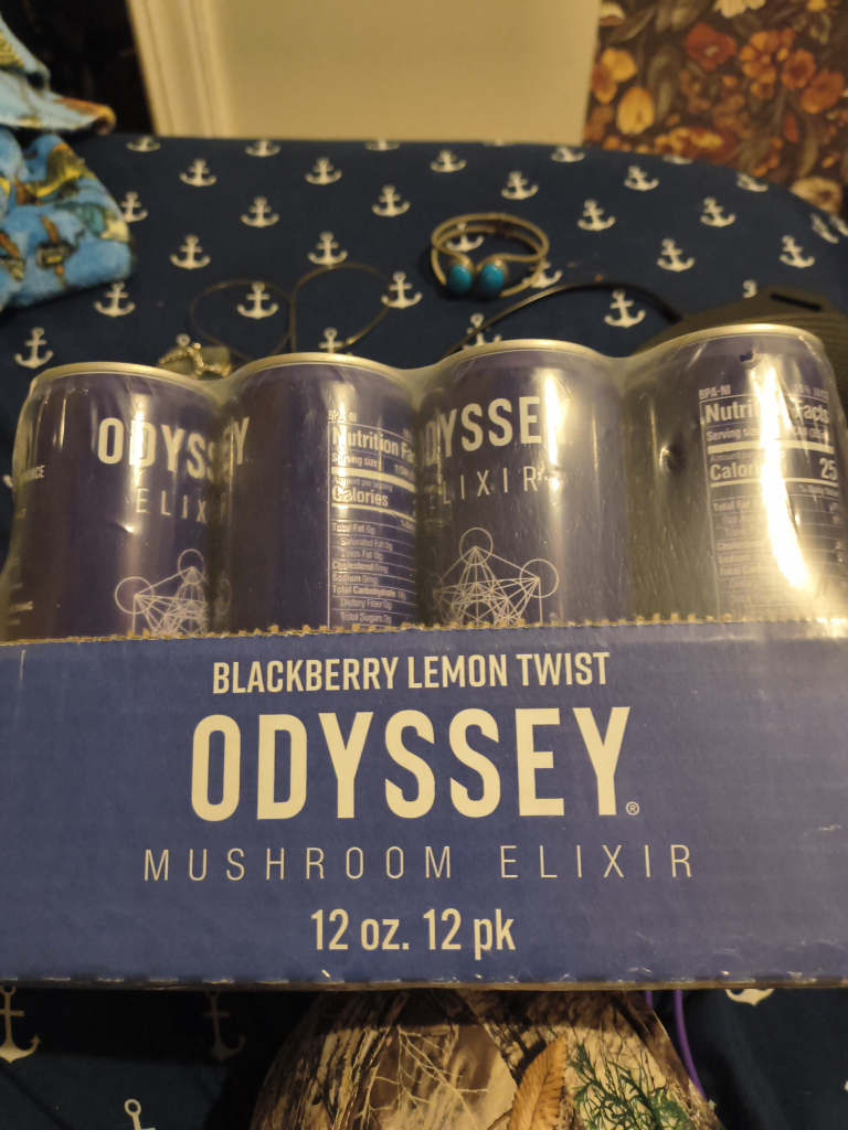 Odyssey Mushroom Elixir Blackberry Lemon Twist 12pk