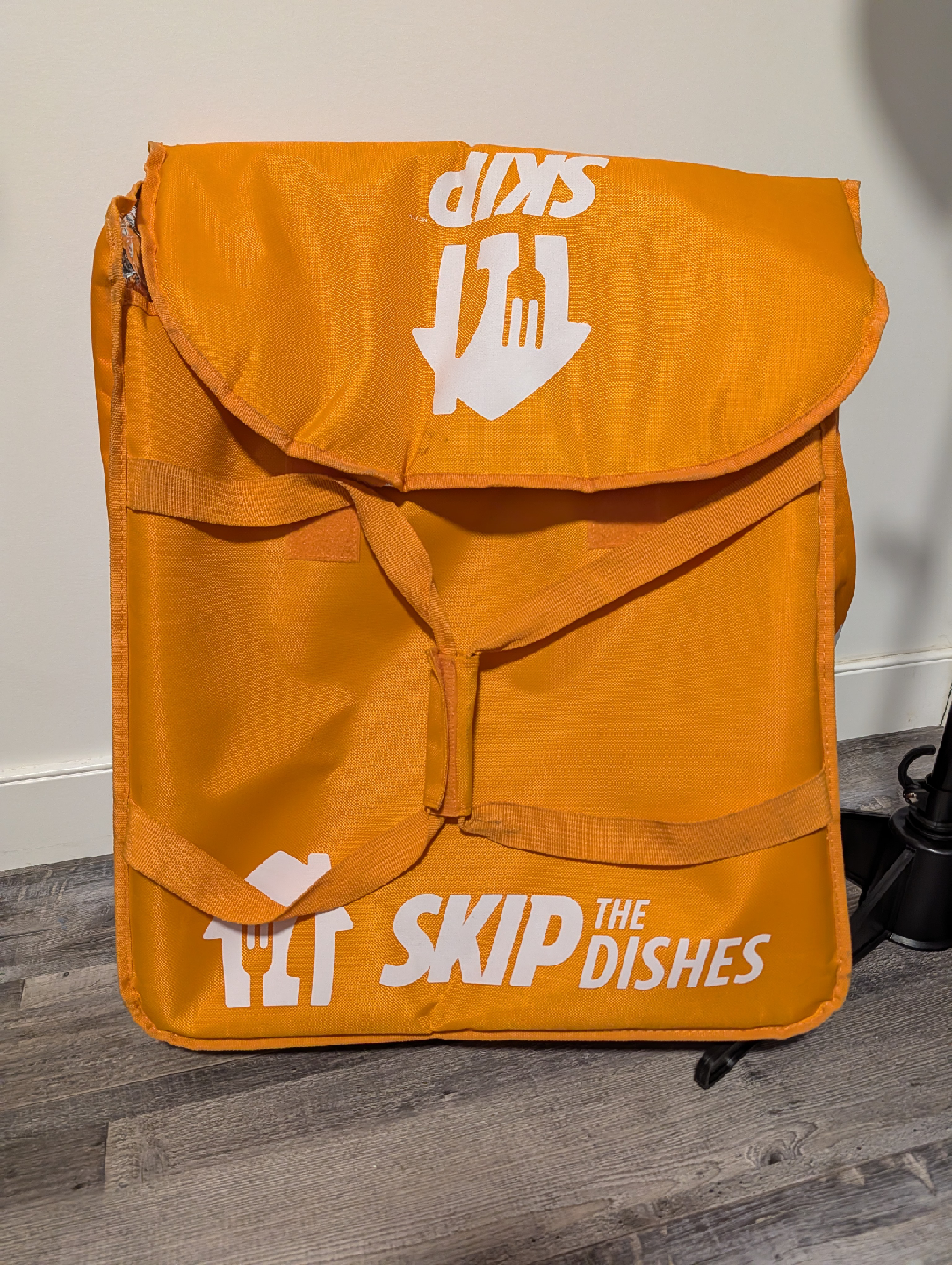 Skip The Dishes Insulated Delivery Bag
