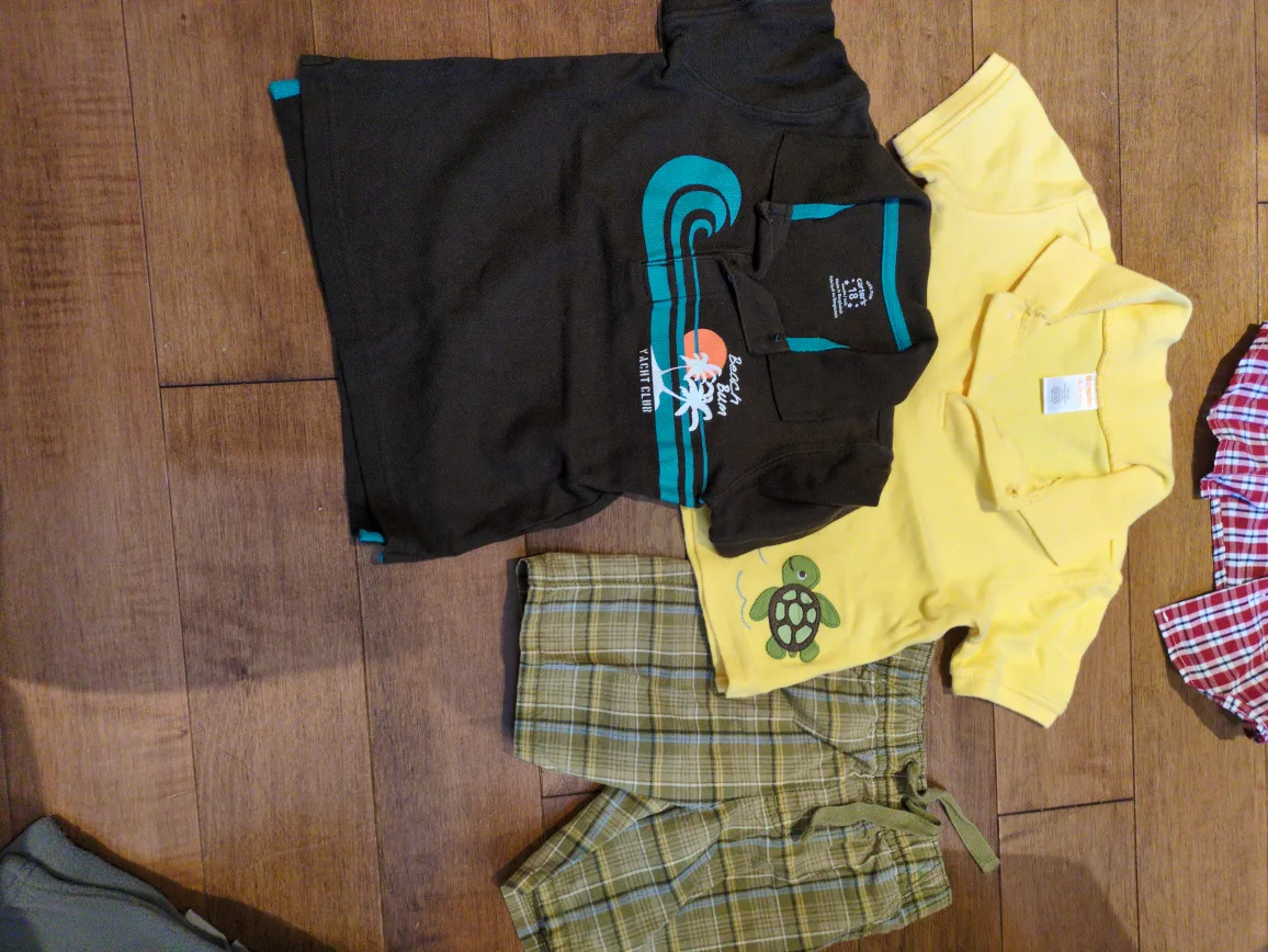 Toddler Boys Clothes Lot - Size 12-24 Months image indicator(5)