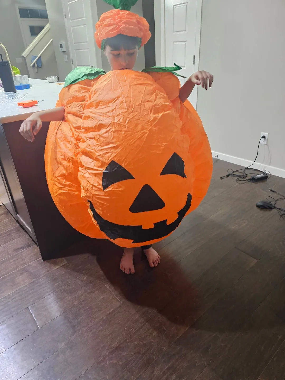 Inflatable Halloween Costume (New never used, Each $25) image indicator(2)