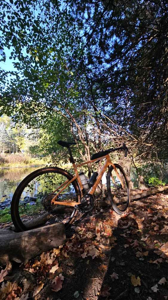 Cervello Aspero GRX RX610 image indicator(3)