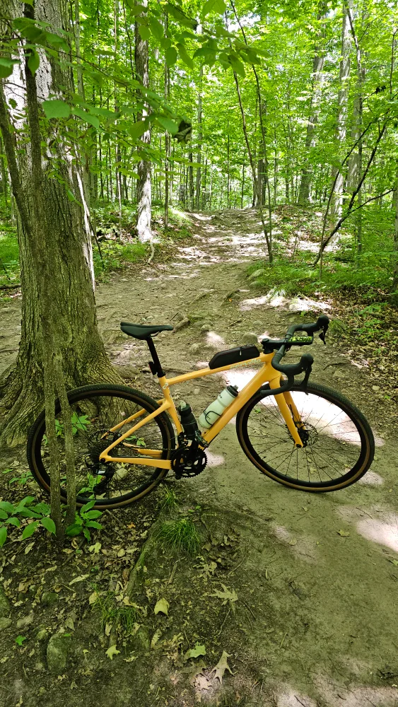 Cervello Aspero GRX RX610 image indicator(2)