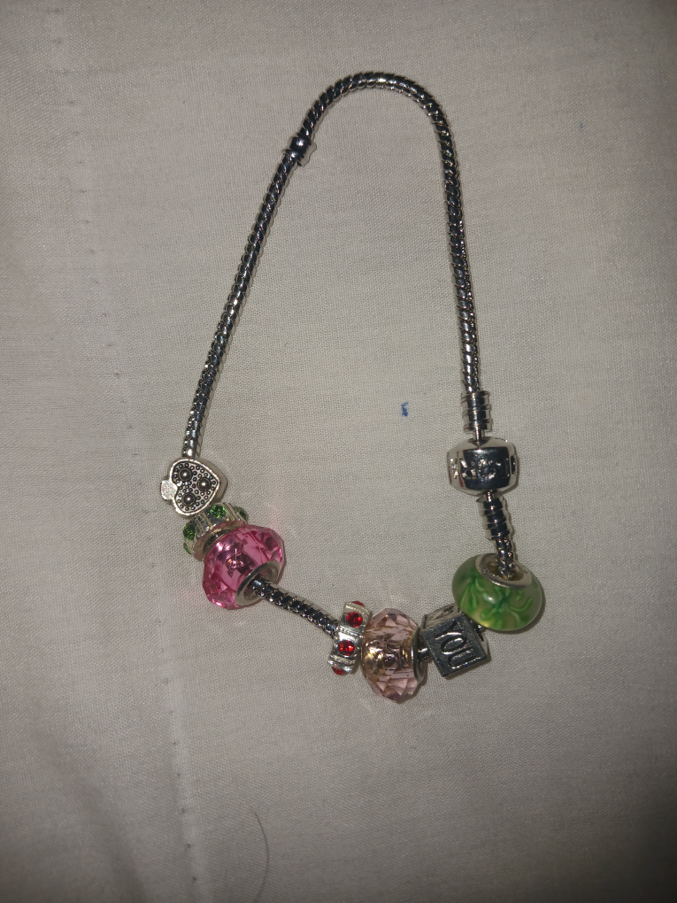 Pandora Charm Bracelet