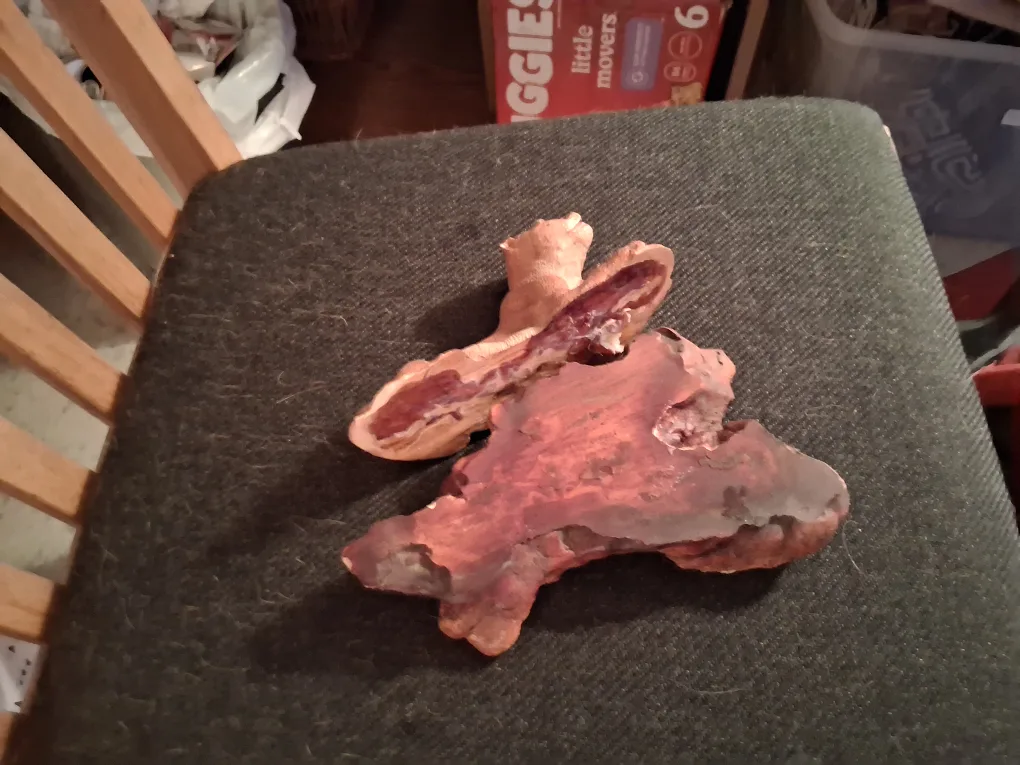 Lioness and Cub Figurine image indicator(5)