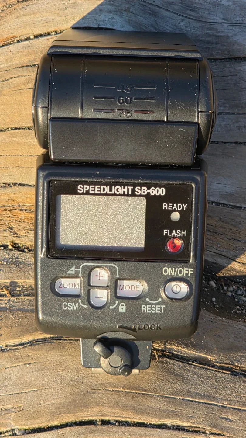 Nikon D80 Camera, Speedlight SB-600 Flash & Lowepro Bag image indicator(3)