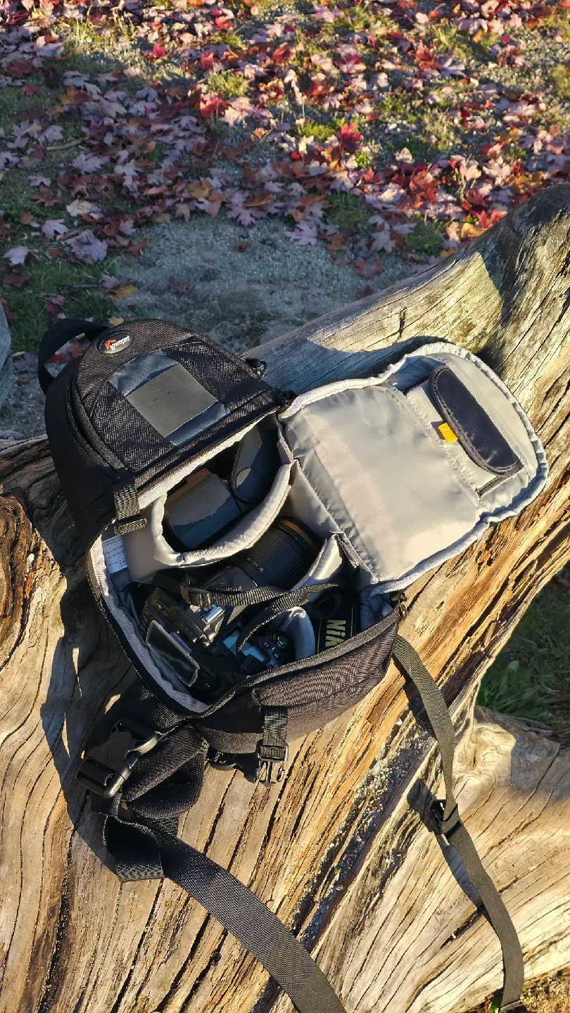 Nikon D80 Camera, Speedlight SB-600 Flash & Lowepro Bag image indicator(8)