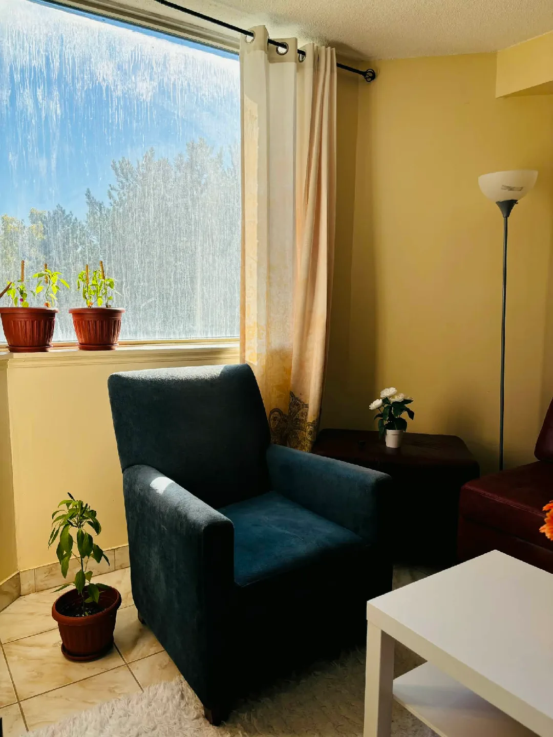 Blue Armchair image indicator(3)